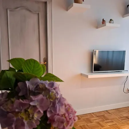 Apartamento Dobra Onís